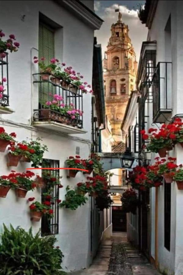 Apartamento La Magdalena Córdoba Kültér fotó